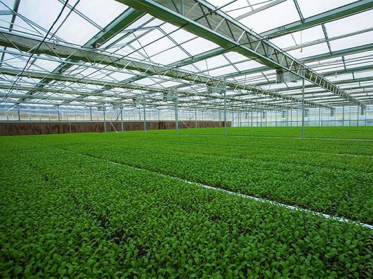 미리 제조하는 빛 철골 구조물 농업 야채 온실 Q235 ISO9001
