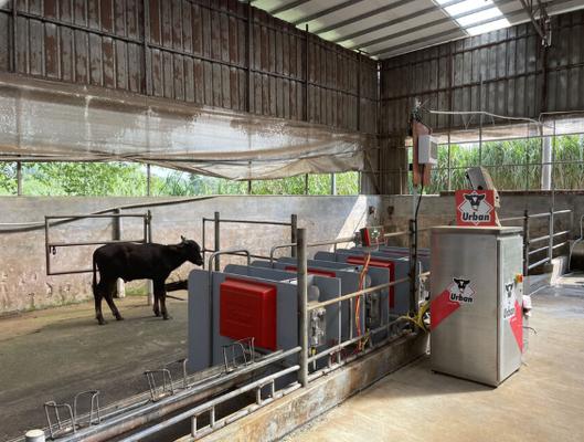 가축용 장비 파우더로 코레이션 저항성 가축 부러기 소유 유지 보수용 동물 구제 소 낙하산 농장 수의사용