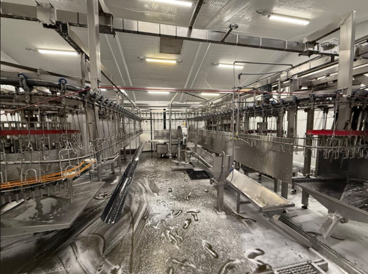 Stainless Steel Slaughtering Equipment with PLC Control and GB Standard for Efficient Meat Processing